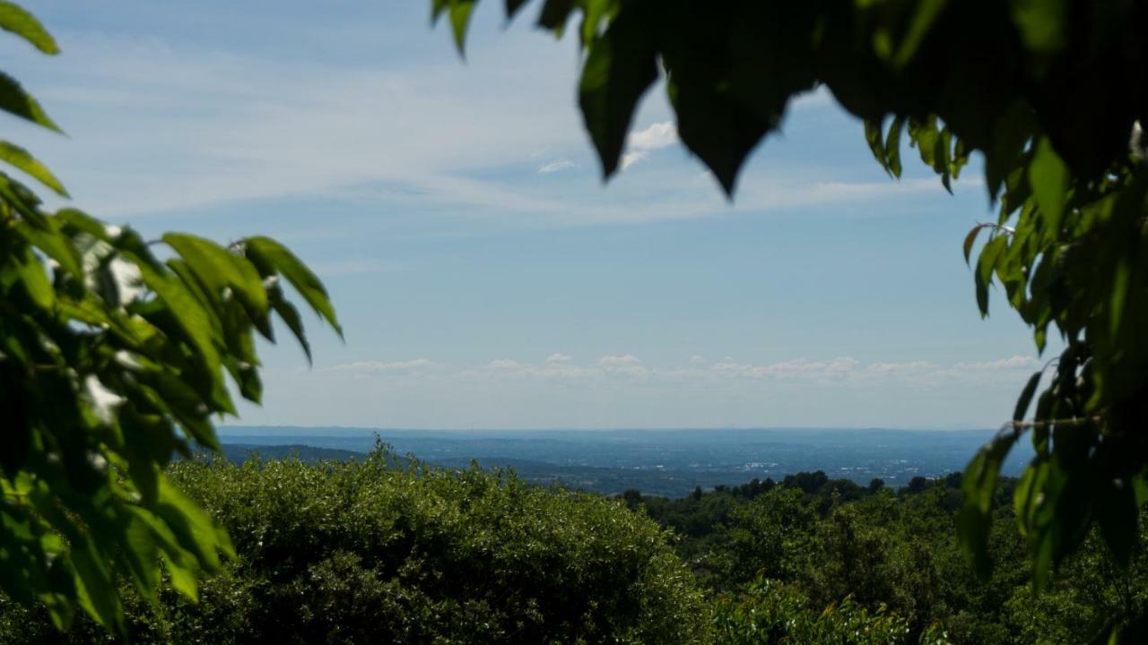 Les Cerisiers De Stella Villa Blauvac Kültér fotó
